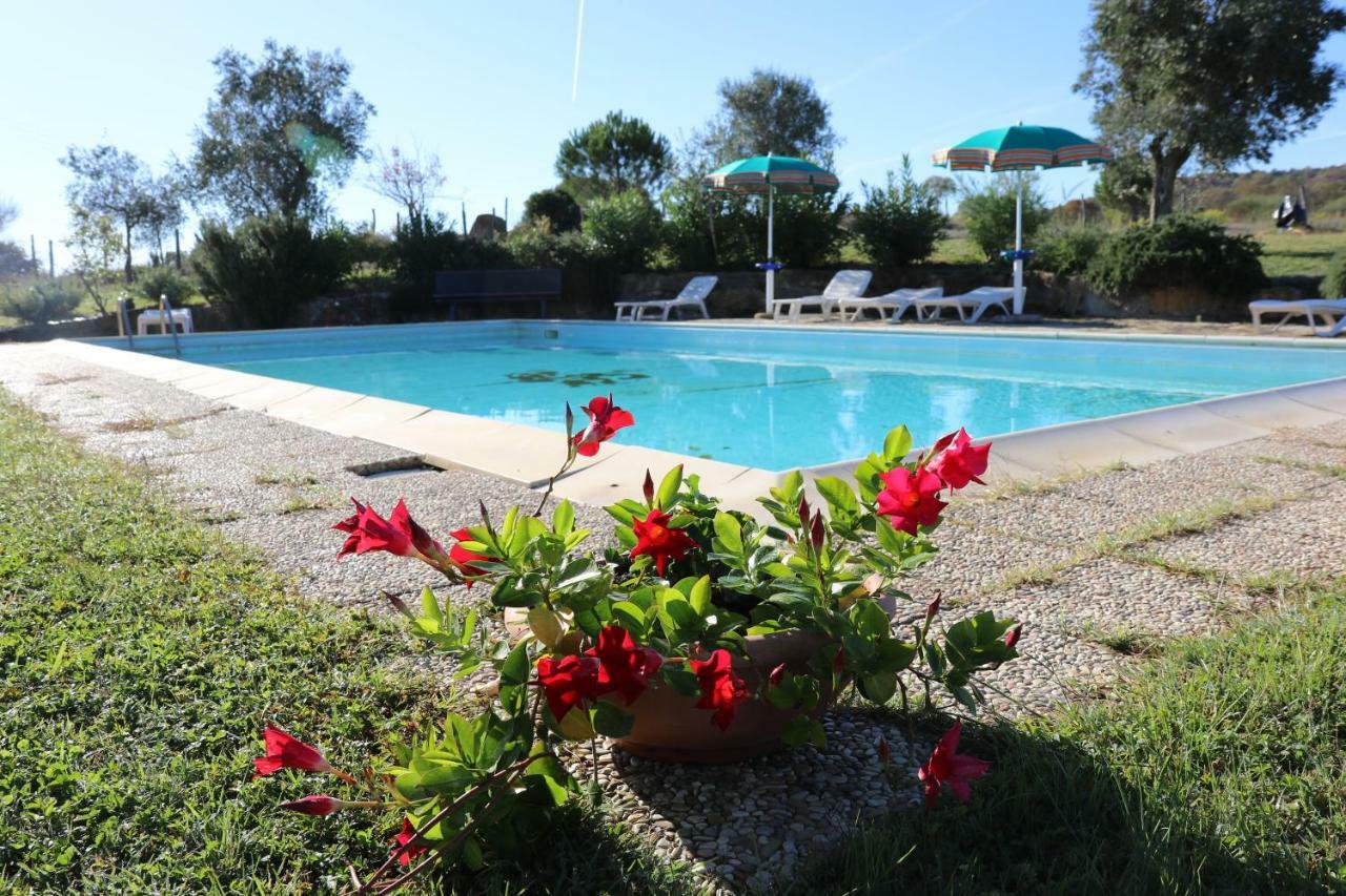 Agriturismo Tinti Montiano  Exteriör bild